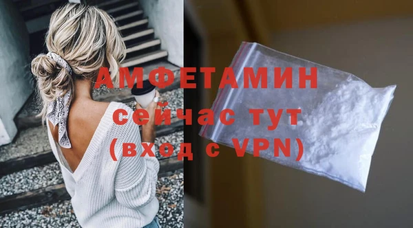 сатива Абинск