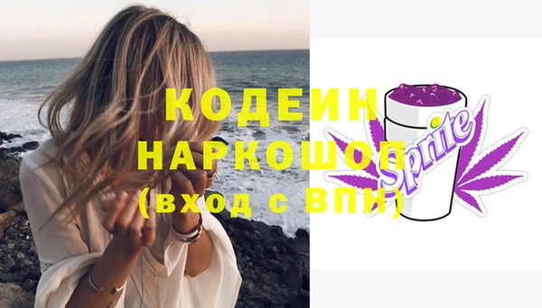 хмурый Алексин