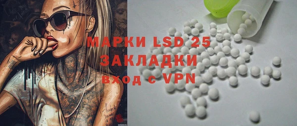 хмурый Алексин