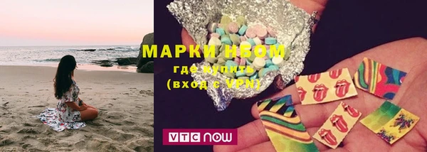 сатива Абинск