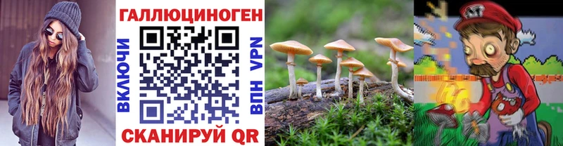 купить  цена  Красково  даркнет телеграм  Псилоцибиновые грибы прущие грибы 